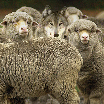 “And There Will Be Many…”